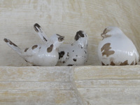 Decor birds