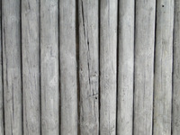 Wooden ceiling of Lobby